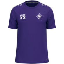Lade das Bild in den Galerie-Viewer, DJK Falke Nürnberg - T-Shirt One (versch. Farben)
