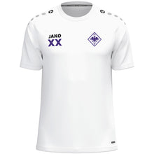 Lade das Bild in den Galerie-Viewer, DJK Falke Nürnberg - T-Shirt One (versch. Farben)
