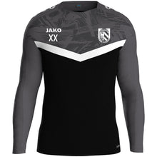 Lade das Bild in den Galerie-Viewer, SpVgg Nürnberg - Sweat Iconic
