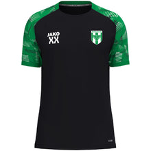 Lade das Bild in den Galerie-Viewer, DJK Raitenbuch - T-Shirt Sonic
