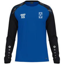 Lade das Bild in den Galerie-Viewer, SpVgg 07 Mannheim - Longsleeve Sonic
