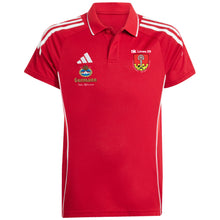 Lade das Bild in den Galerie-Viewer, DJK Limes 09 - Tiro25 Competition Polo Shirt Kids (versch. Farben)
