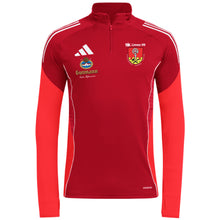 Lade das Bild in den Galerie-Viewer, DJK Limes 09 - Tiro 25 Competition Training Top (versch. Farben)
