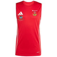 Lade das Bild in den Galerie-Viewer, DJK Limes 09 - TIRO25 COMPETITION SLEEVELESS JERSEY (versch. Farben)
