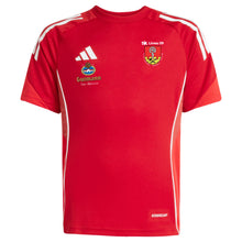 Lade das Bild in den Galerie-Viewer, DJK Limes 09 - TIRO25 COMPETITION TRAINING JERSEY (versch. Farben)
