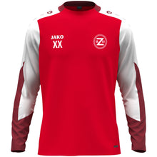 Lade das Bild in den Galerie-Viewer, TSV 1861 Zirndorf  - Longsleeve Dynamic
