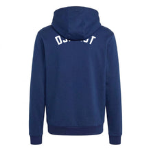 Lade das Bild in den Galerie-Viewer, DJK Ast - Entrada26 Hoodie
