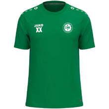 Lade das Bild in den Galerie-Viewer, DJK-SV Furth  - T-Shirt One
