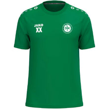 Lade das Bild in den Galerie-Viewer, DJK-SV Furth  - T-Shirt One Cotton
