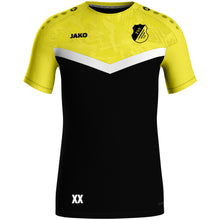 Lade das Bild in den Galerie-Viewer, TSV Landshut-Auloh - T-Shirt Iconic (versch. Farben)
