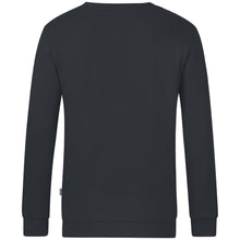 Lade das Bild in den Galerie-Viewer, Angelverein Untere Pegnitz Lauf - Sweat Organic (versch. Farben)
