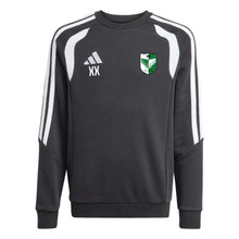 Lade das Bild in den Galerie-Viewer, DJK Erlangen - Tiro26 League Kids Sweat Crew
