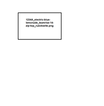 Lade das Bild in den Galerie-Viewer, Team Test 100 - teamRISE 1/4 Zip Top
