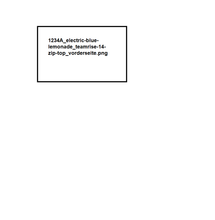 Lade das Bild in den Galerie-Viewer, Team Test 100 - teamRISE 1/4 Zip Top
