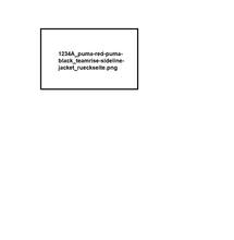 Lade das Bild in den Galerie-Viewer, Team Test 100 - teamRISE Sideline Jacket
