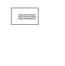 Lade das Bild in den Galerie-Viewer, Team Test 100 - teamRISE Sideline Jacket
